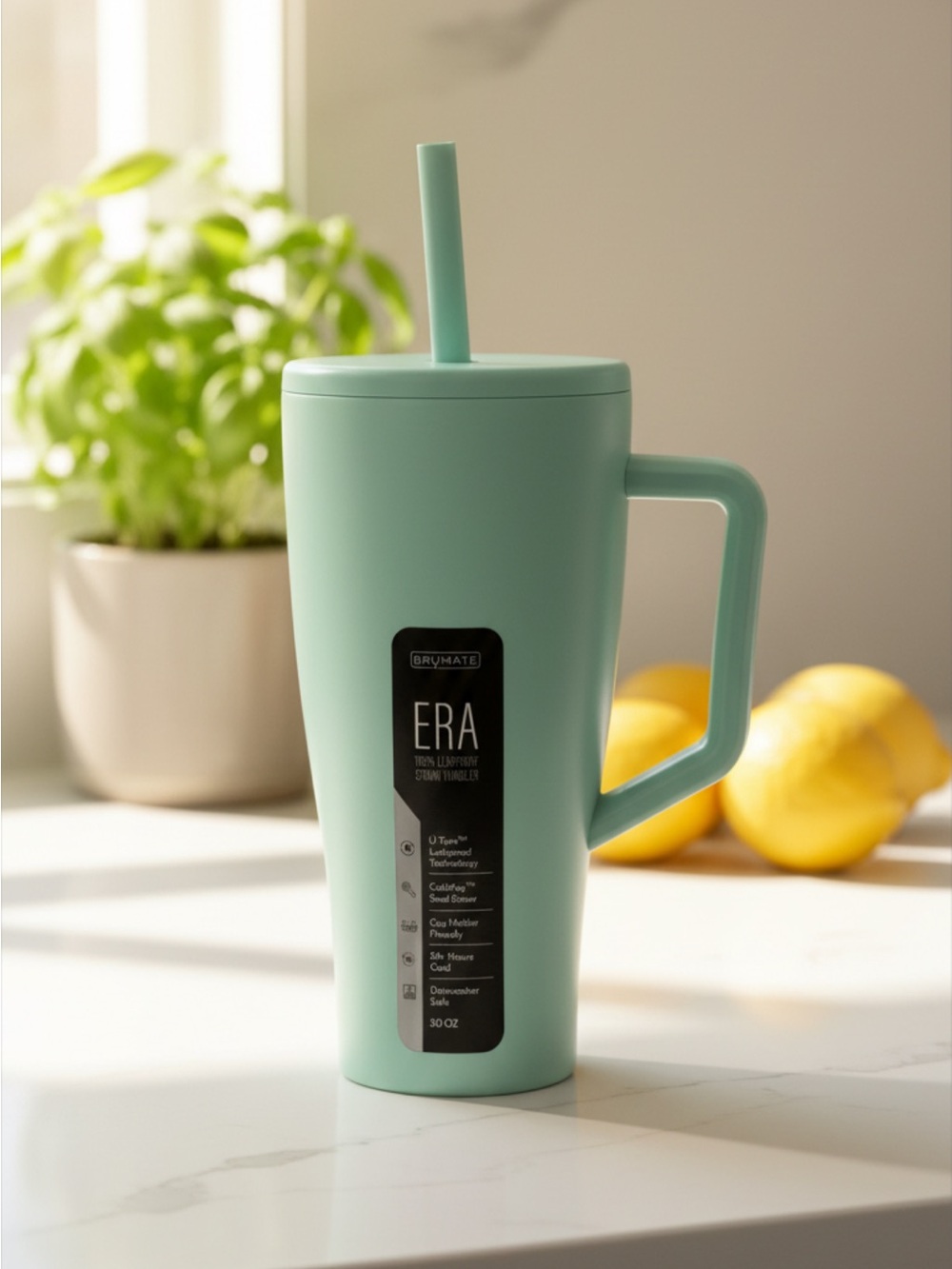 Brumate ERA 30oz Mint Travel Mug with Handle and Straw